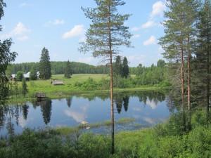 IMG_7054